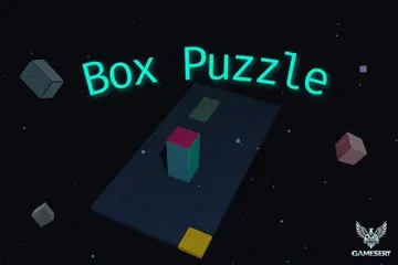 Box Puzzle